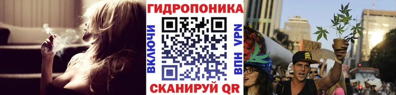 Бошки марихуана план  Купить  Ивдель 
